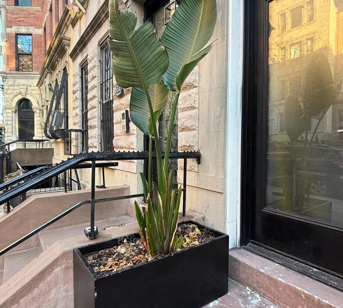Harlem House Hotel New York United States